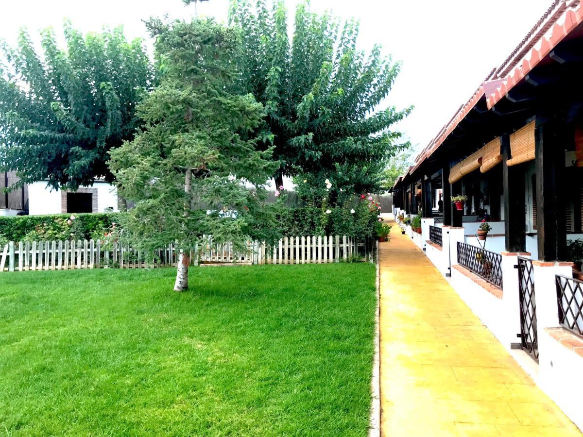 Apartamento Rural Villa Aurora Luque Zewnętrze zdjęcie